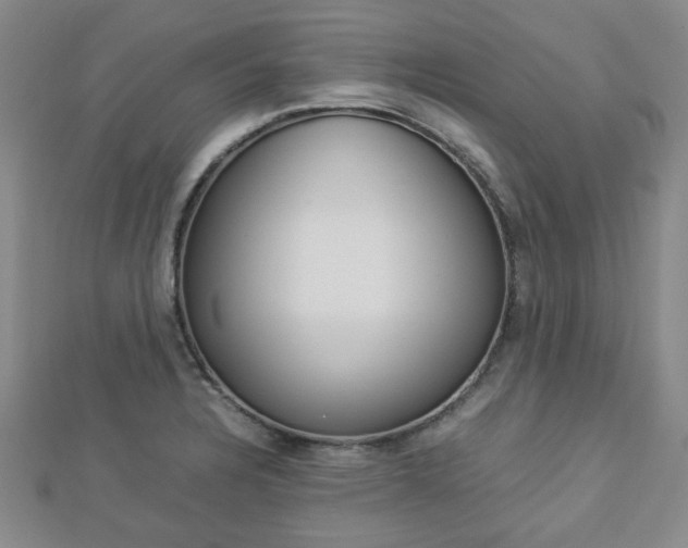 X0000112871328200908211021