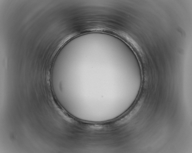 X0000112871329200908211021