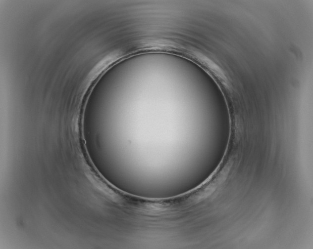 X0000112871330200908211021