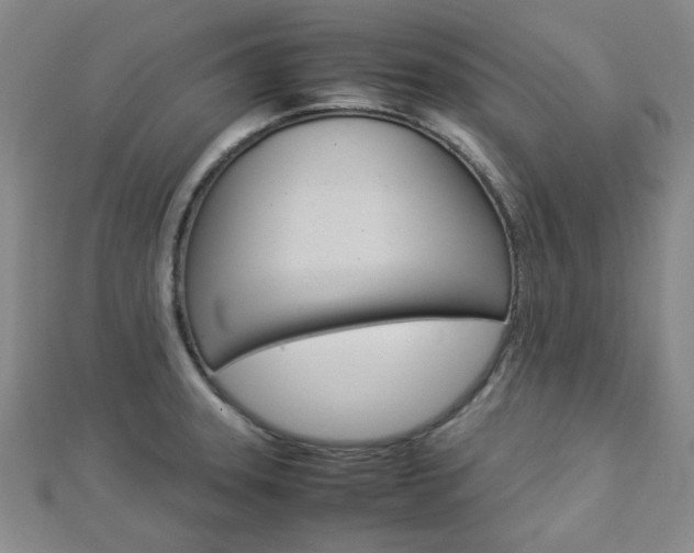 X0000112871331200908211021