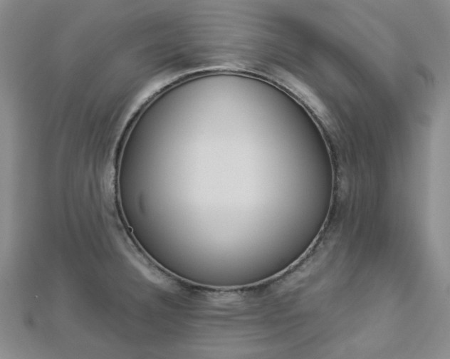 X0000112871332200908211021
