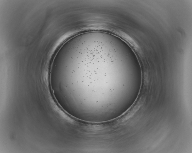 X0000112871334200908211021