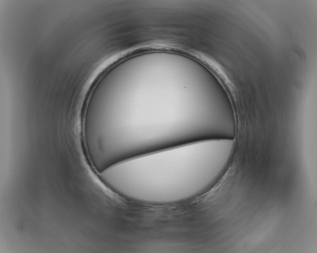 X0000112871335200908211021