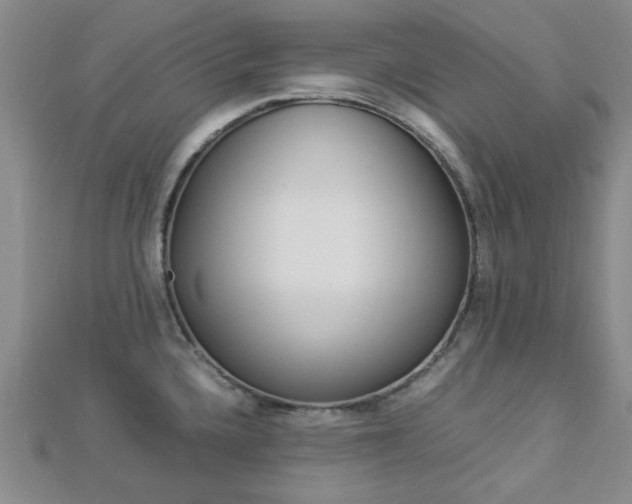 X0000112871336200908211021