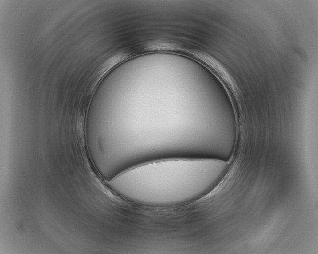 X0000112871337200908211022