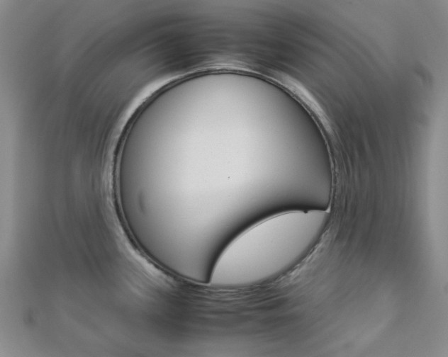 X0000112871339200908211022