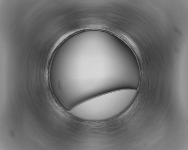 X0000112871340200908211022