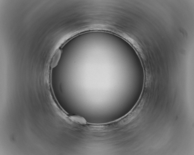X0000112871342200908211022