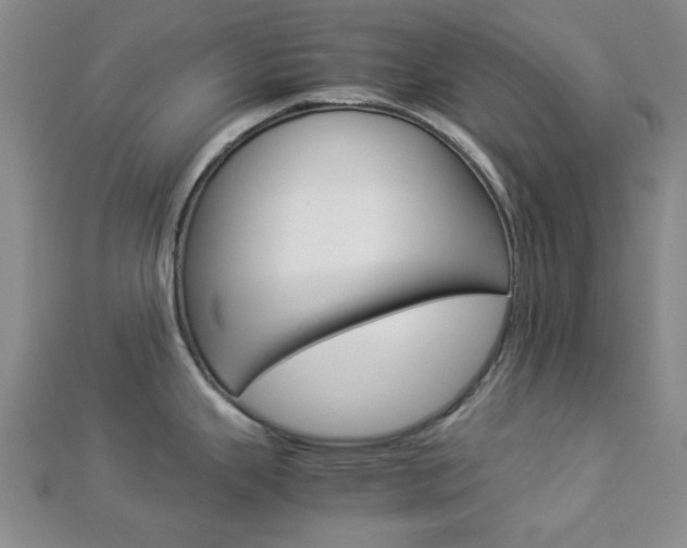 X0000112871343200908211022