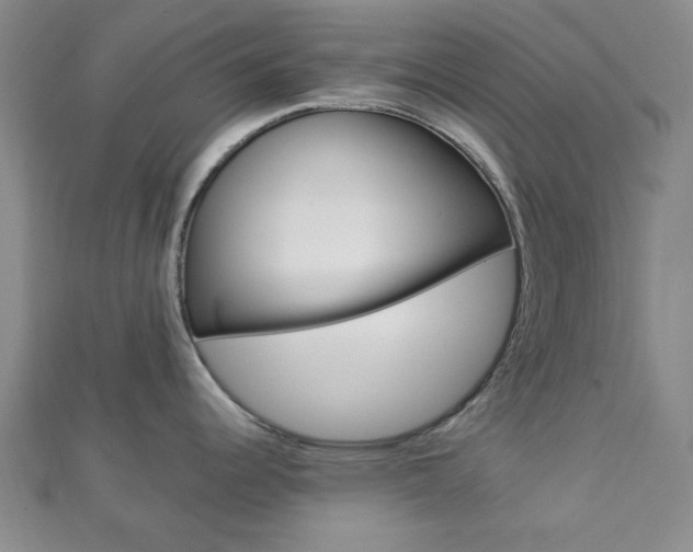 X0000112871344200908211022