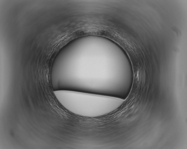 X0000112871348200908211021