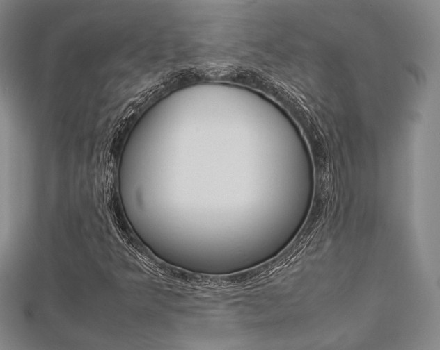 X0000112871349200908211021