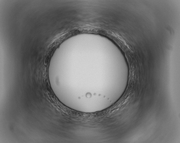 X0000112871350200908211021