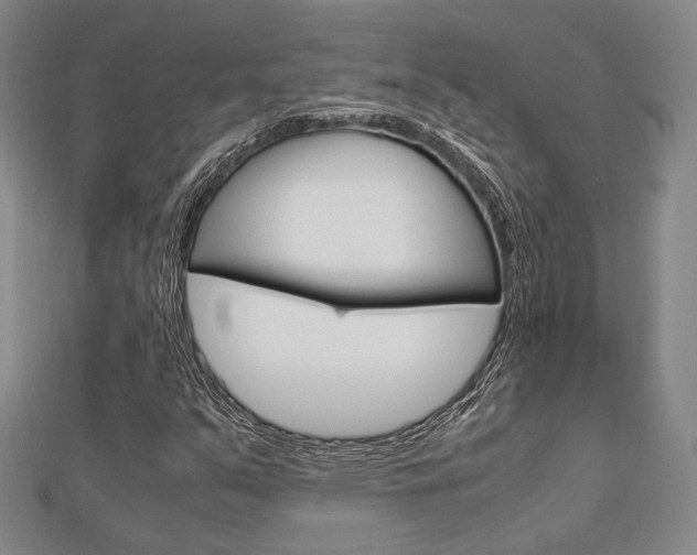 X0000112871351200908211021