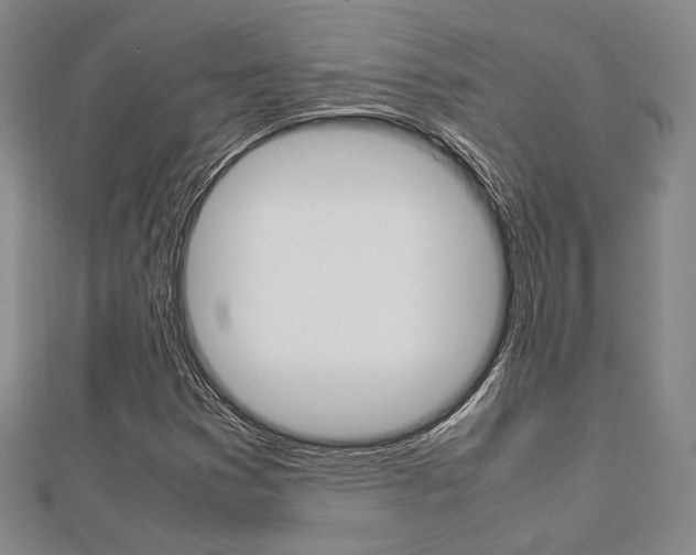X0000112871353200908211021
