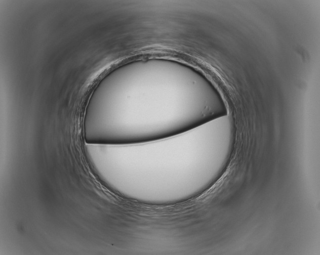 X0000112871355200908211021