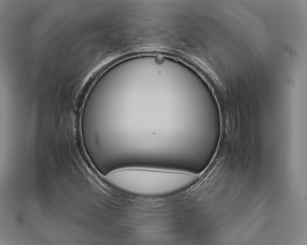 X0000112871356200908211021