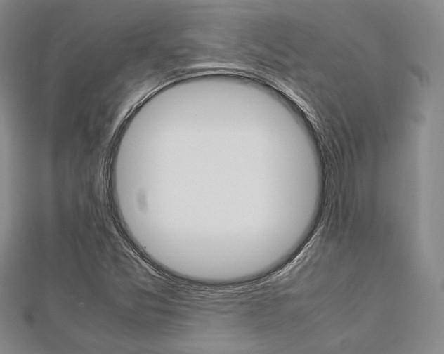 X0000112871357200908211021
