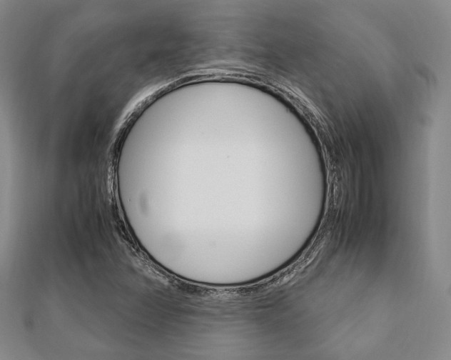 X0000112871358200908211021