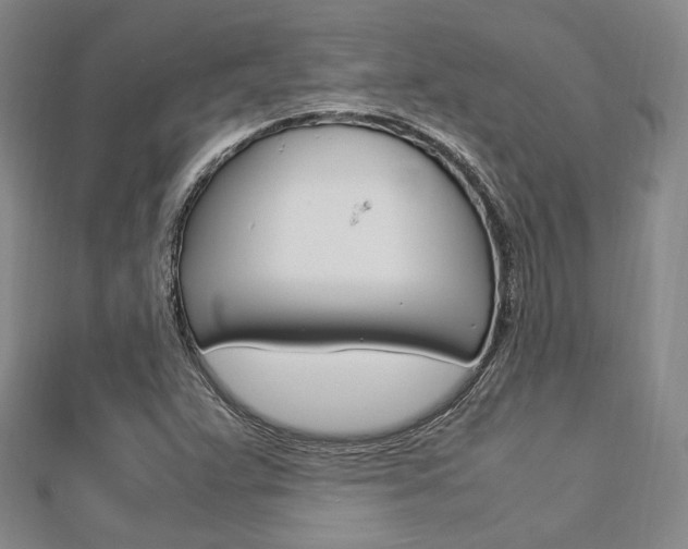 X0000112871359200908211021