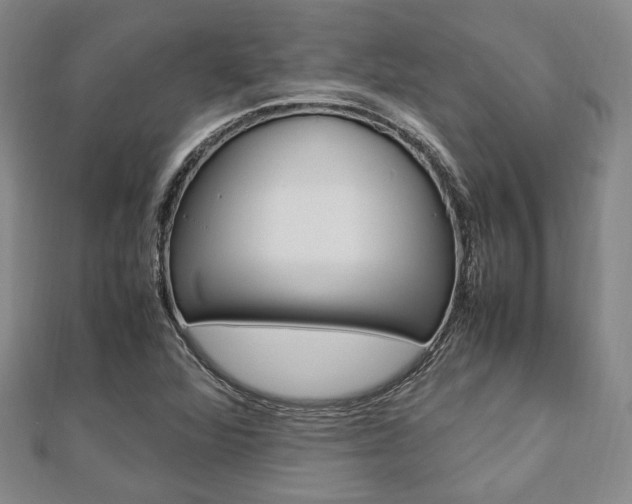 X0000112871360200908211021