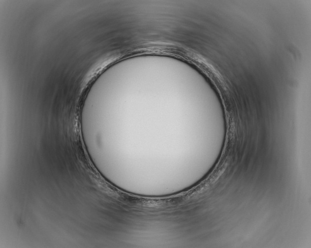 X0000112871362200908211021