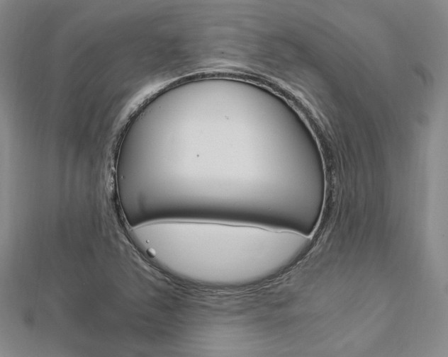 X0000112871363200908211021