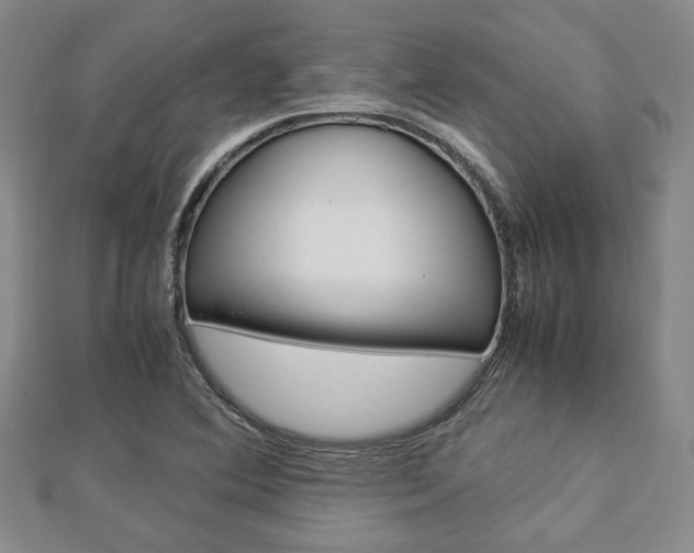 X0000112871364200908211021