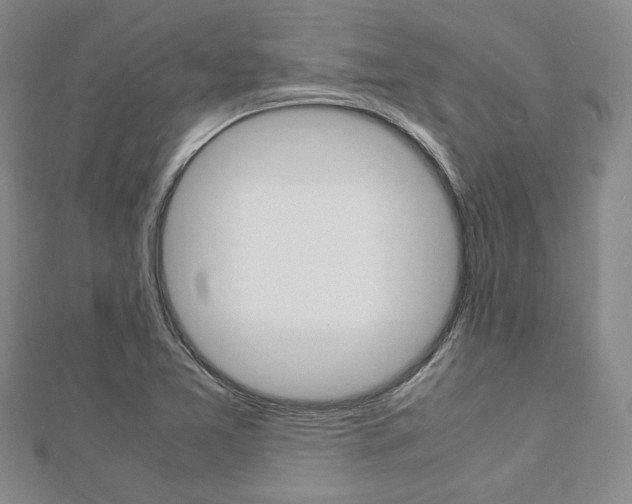 X0000112871365200908211021