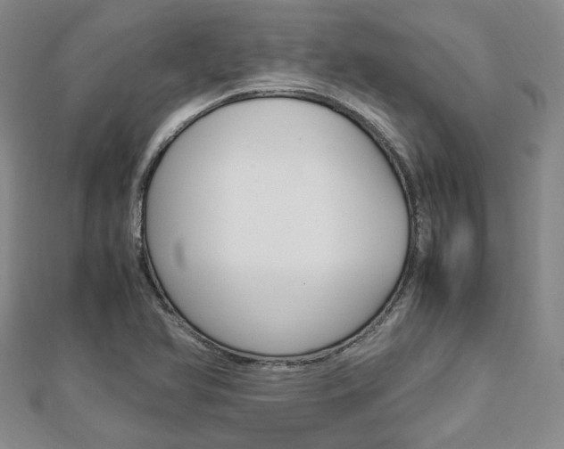 X0000112871366200908211021
