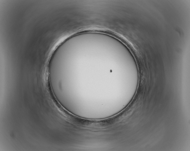 X0000112871367200908211021
