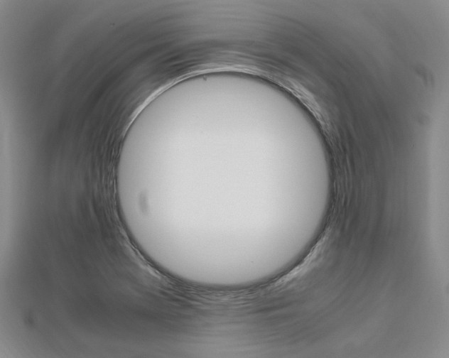 X0000112871369200908211021