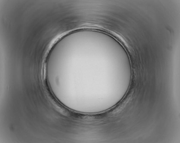 X0000112871371200908211020