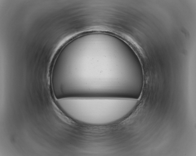 X0000112871372200908211020