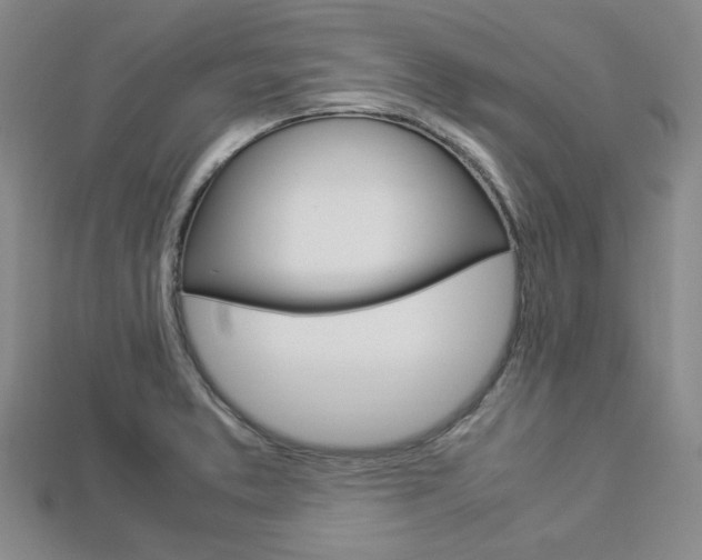 X0000112871373200908211020