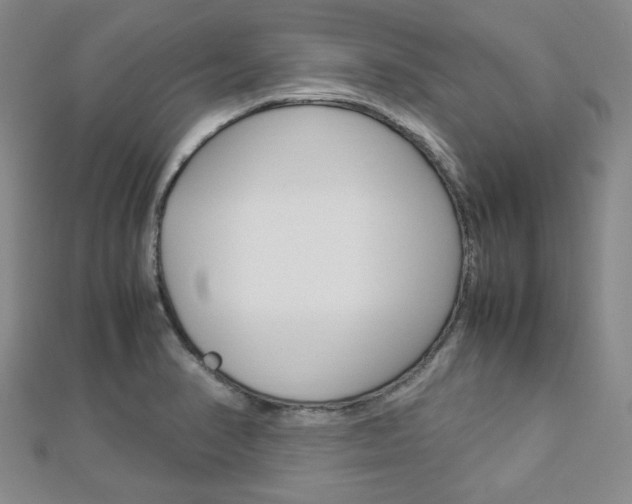 X0000112871374200908211020