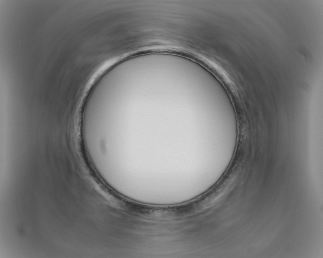 X0000112871375200908211020