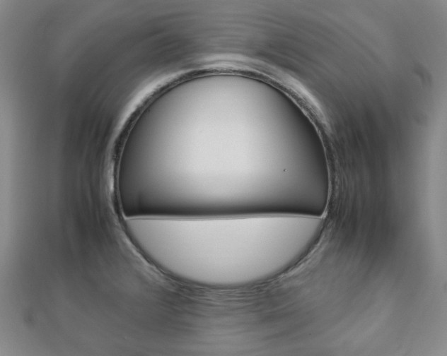 X0000112871376200908211020