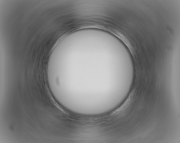 X0000112871377200908211020