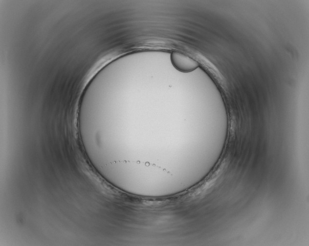 X0000112871378200908211020