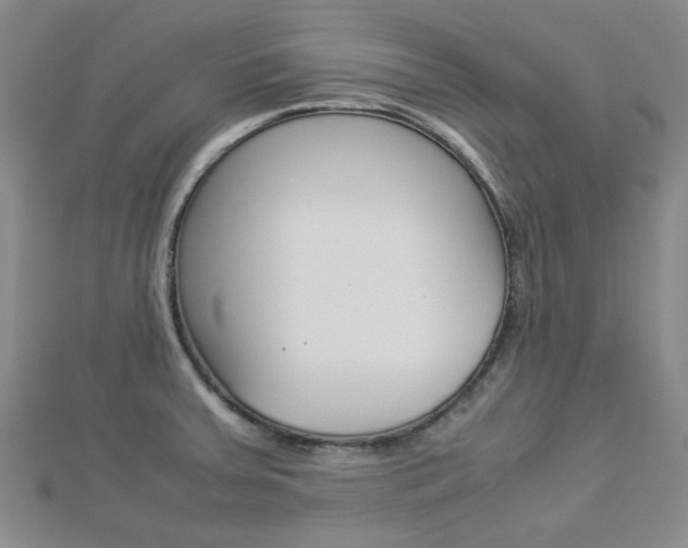 X0000112871379200908211020