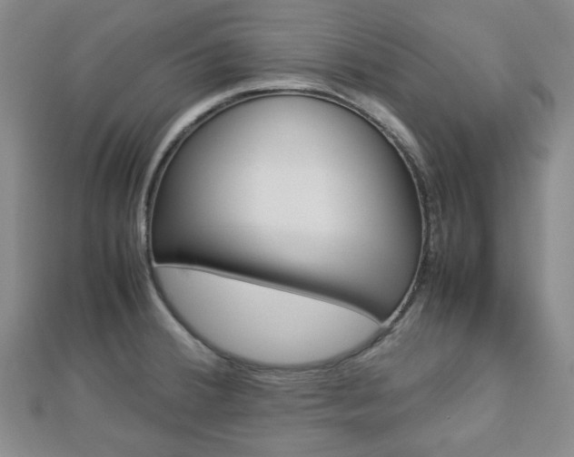 X0000112871380200908211020