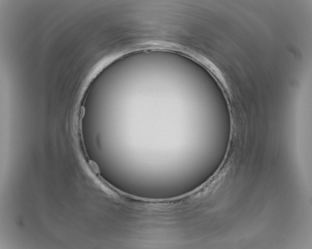 X0000112871381200908211020