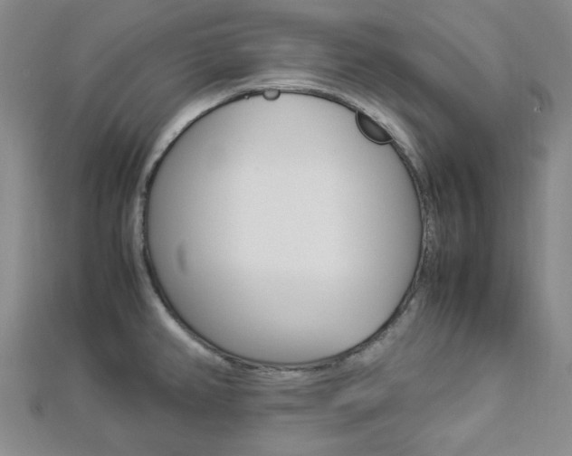 X0000112871382200908211020