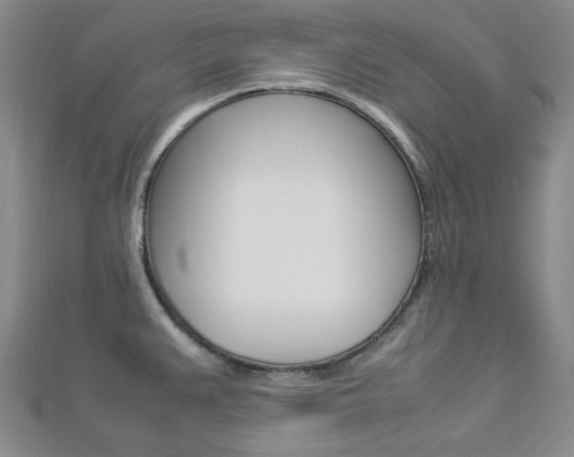 X0000112871383200908211020