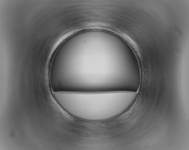 X0000112871384200908211020