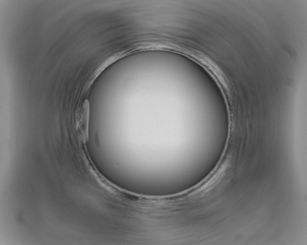 X0000112871385200908211020
