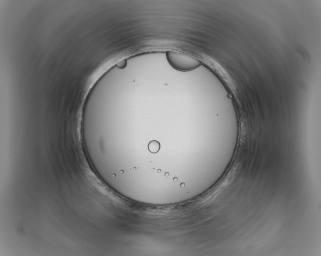 X0000112871386200908211020