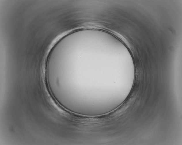 X0000112871387200908211020