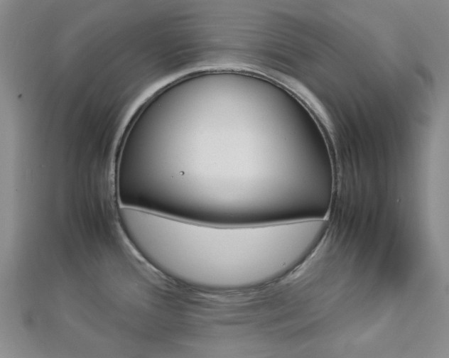 X0000112871388200908211020